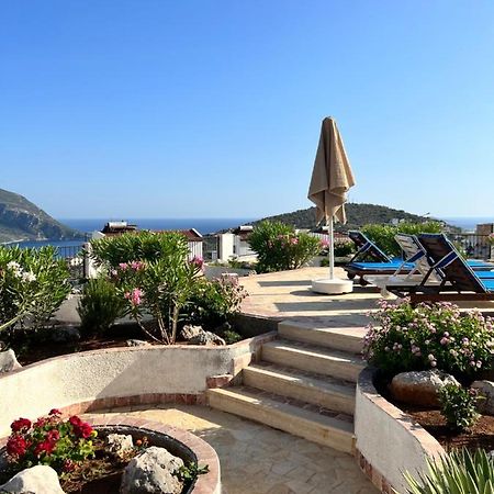 Viola Apart - Kalkan Bagian luar foto