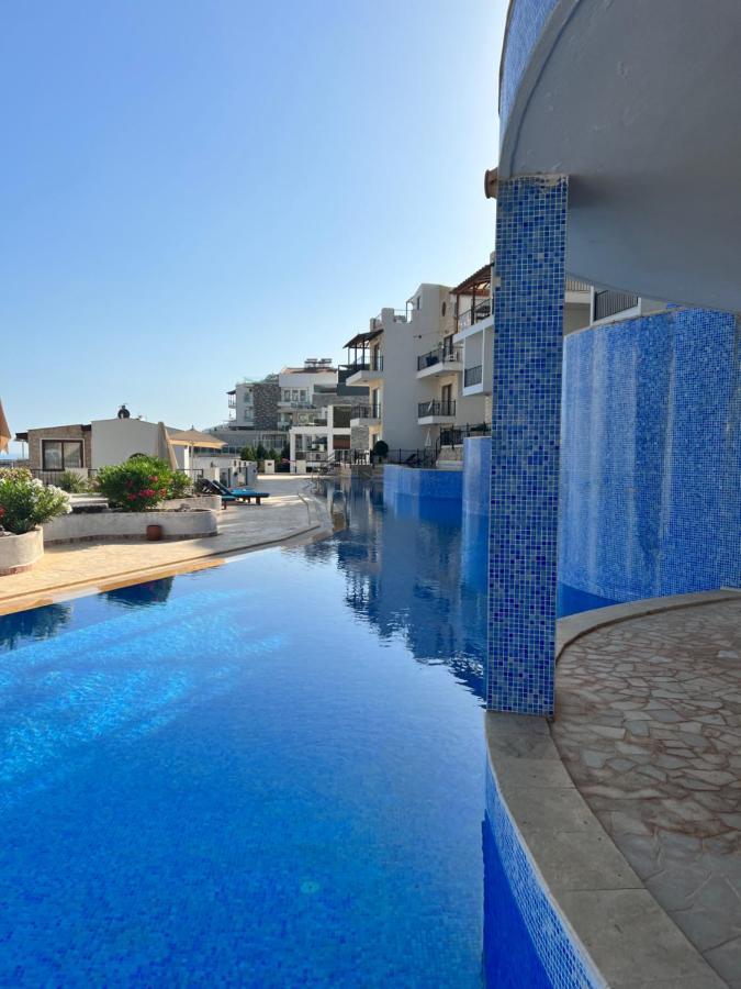 Viola Apart - Kalkan Bagian luar foto